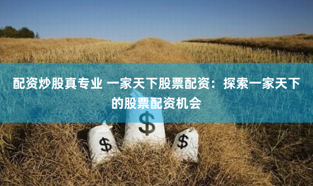 配资炒股真专业 一家天下股票配资:探索一家天下的股票配资机会